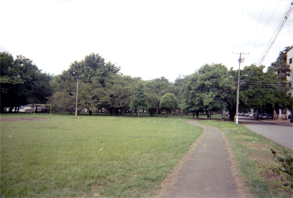 439-20.jpg