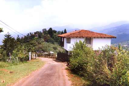 499-23.jpg