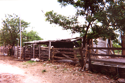 486-24.jpg