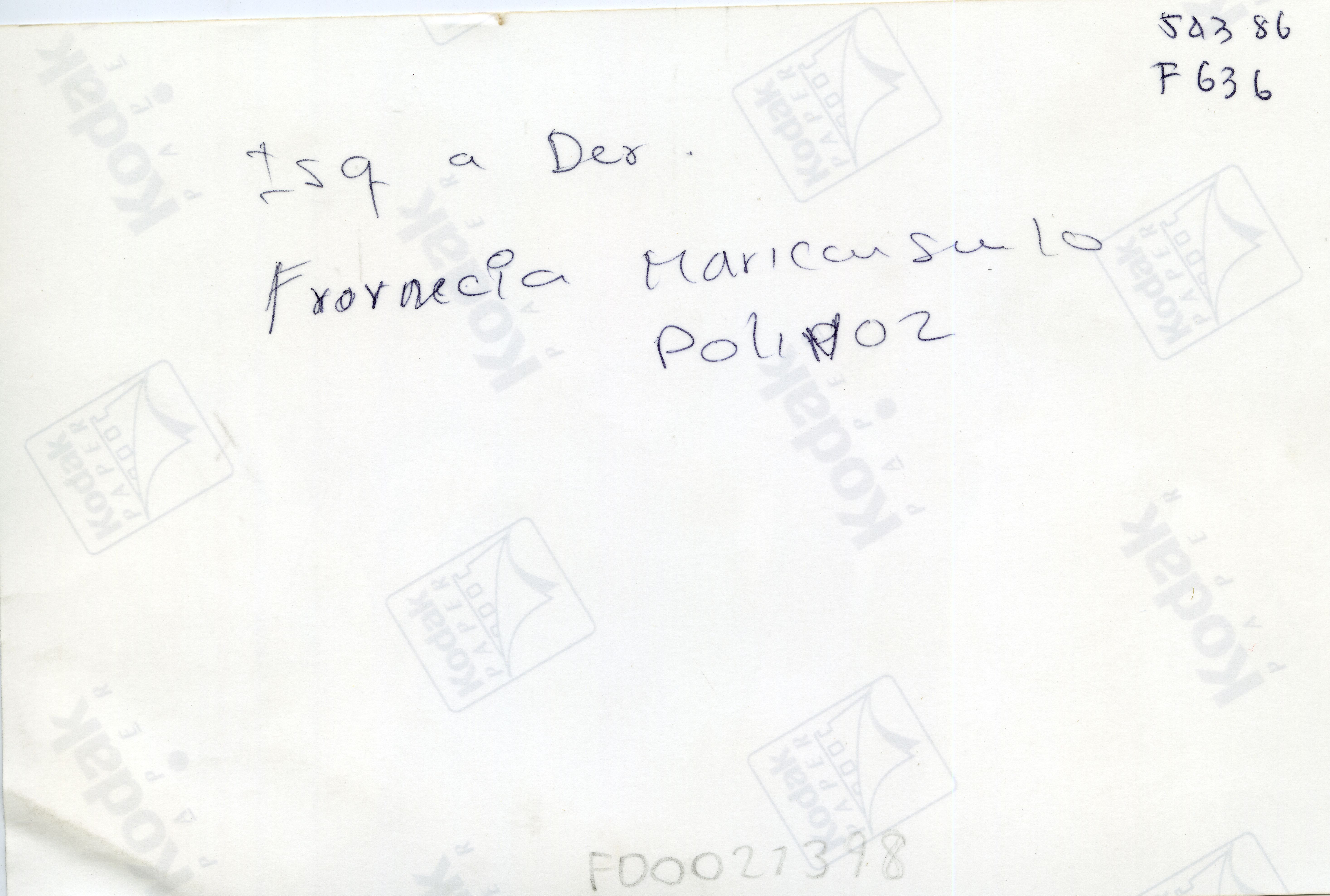 FDO021398A.jpg