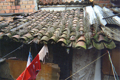 221-12.jpg