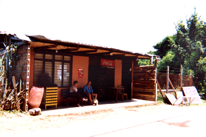 499-12.jpg
