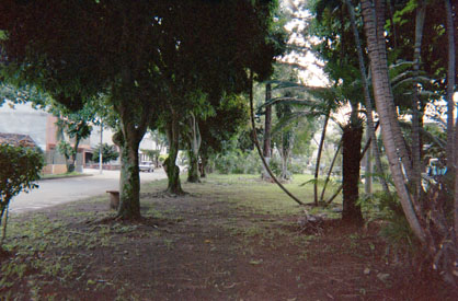 374-31.jpg