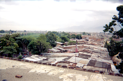 293-7.jpg