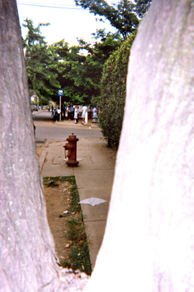 483-17.jpg