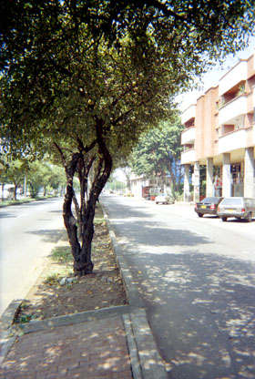 408-11.jpg