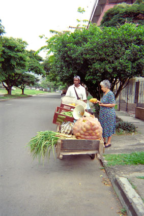 383-5.jpg