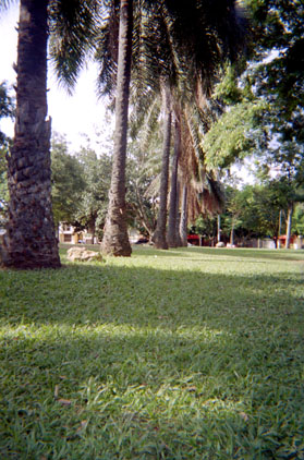 448-20.jpg