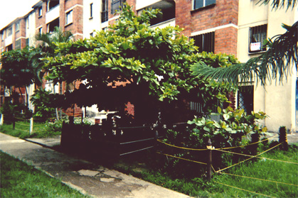 124-15.jpg