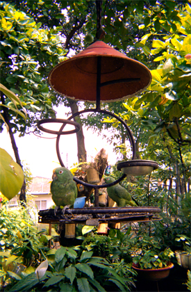 182-9.jpg