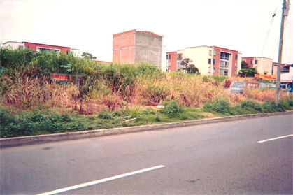 047-19.jpg