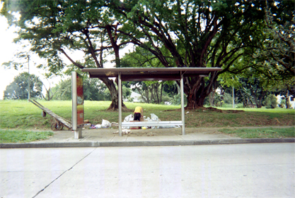 444-33.jpg
