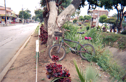 131-8.jpg