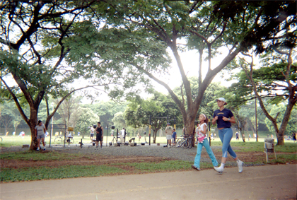 372-26.jpg