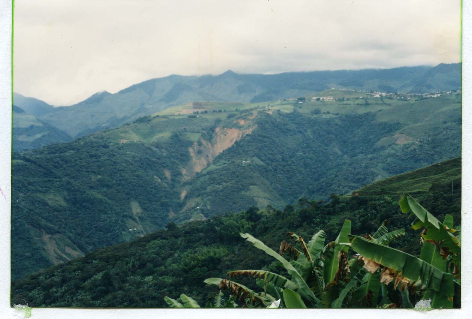 PCCC0288.jpg
