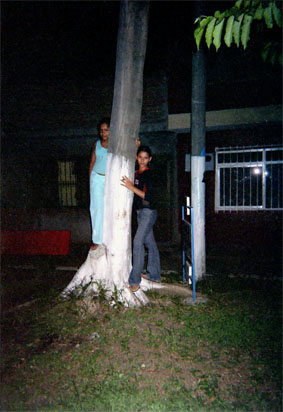 078-6.jpg