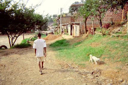 398-33.jpg