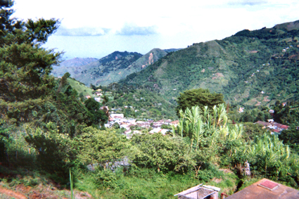 503-30.jpg