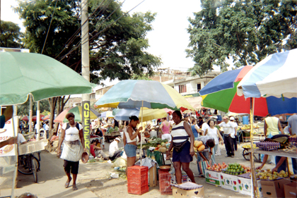 389-22.jpg