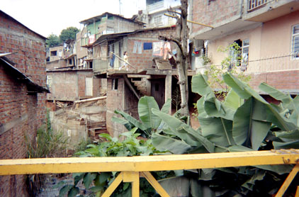 468-20.jpg