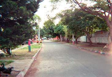 073-8.jpg