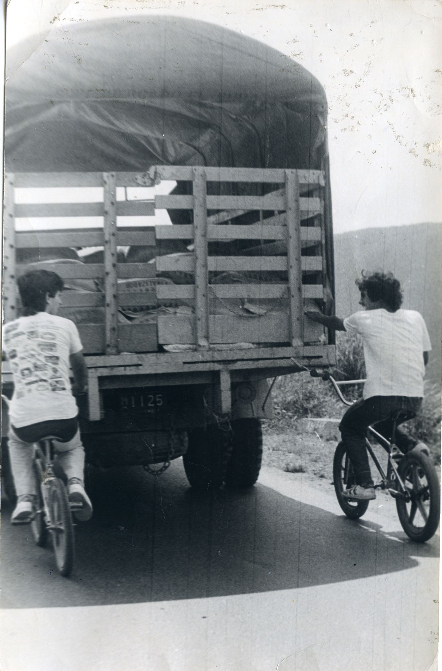 FDO019647.jpg