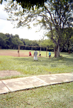 351-14.jpg