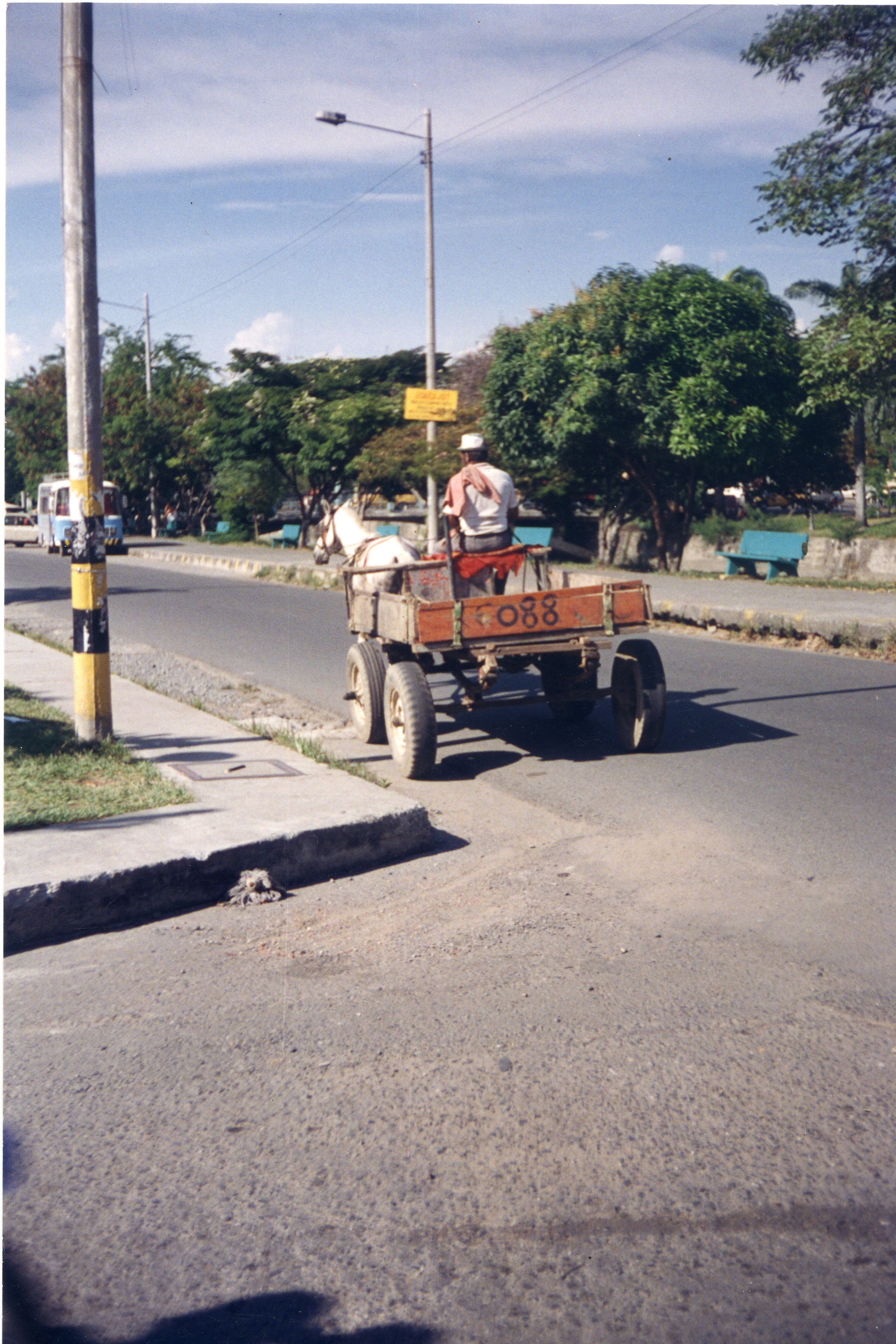 Fdo014390.jpg