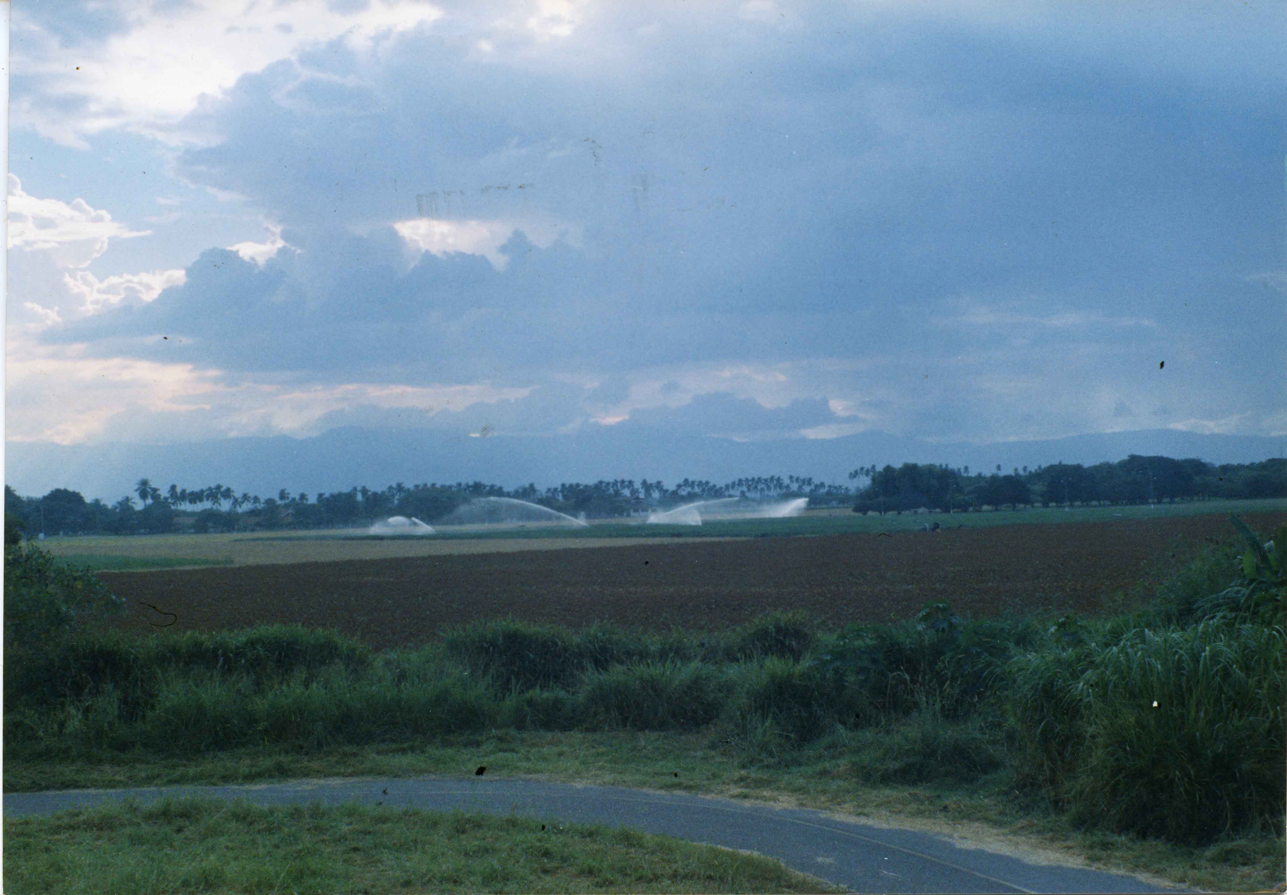 FDO07995.jpg