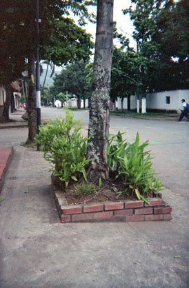 378-19.jpg