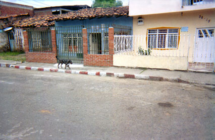 264-00.jpg