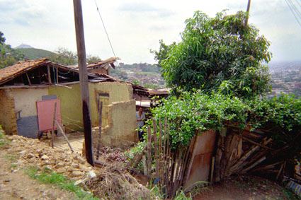 465-17.jpg