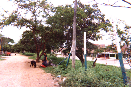 486-25.jpg