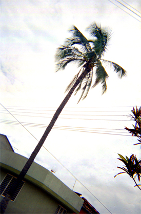 188-15.jpg