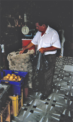259-2.jpg