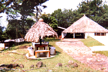 499-27.jpg