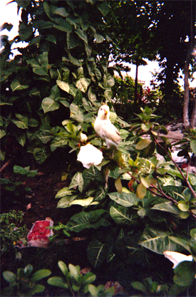 182-6.jpg