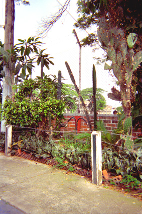 227-3.jpg