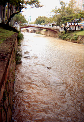 016-16.jpg