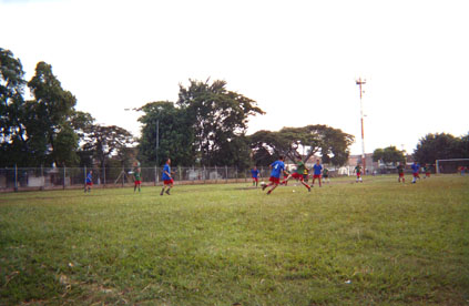 228-13.jpg