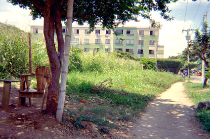 362-30.jpg