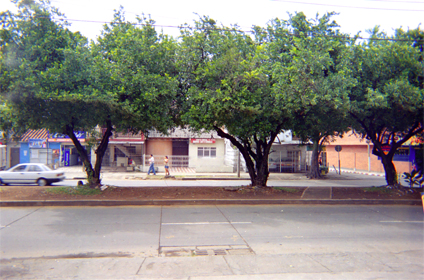 207-0.jpg