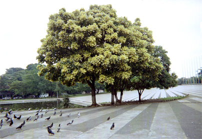 447-32.jpg