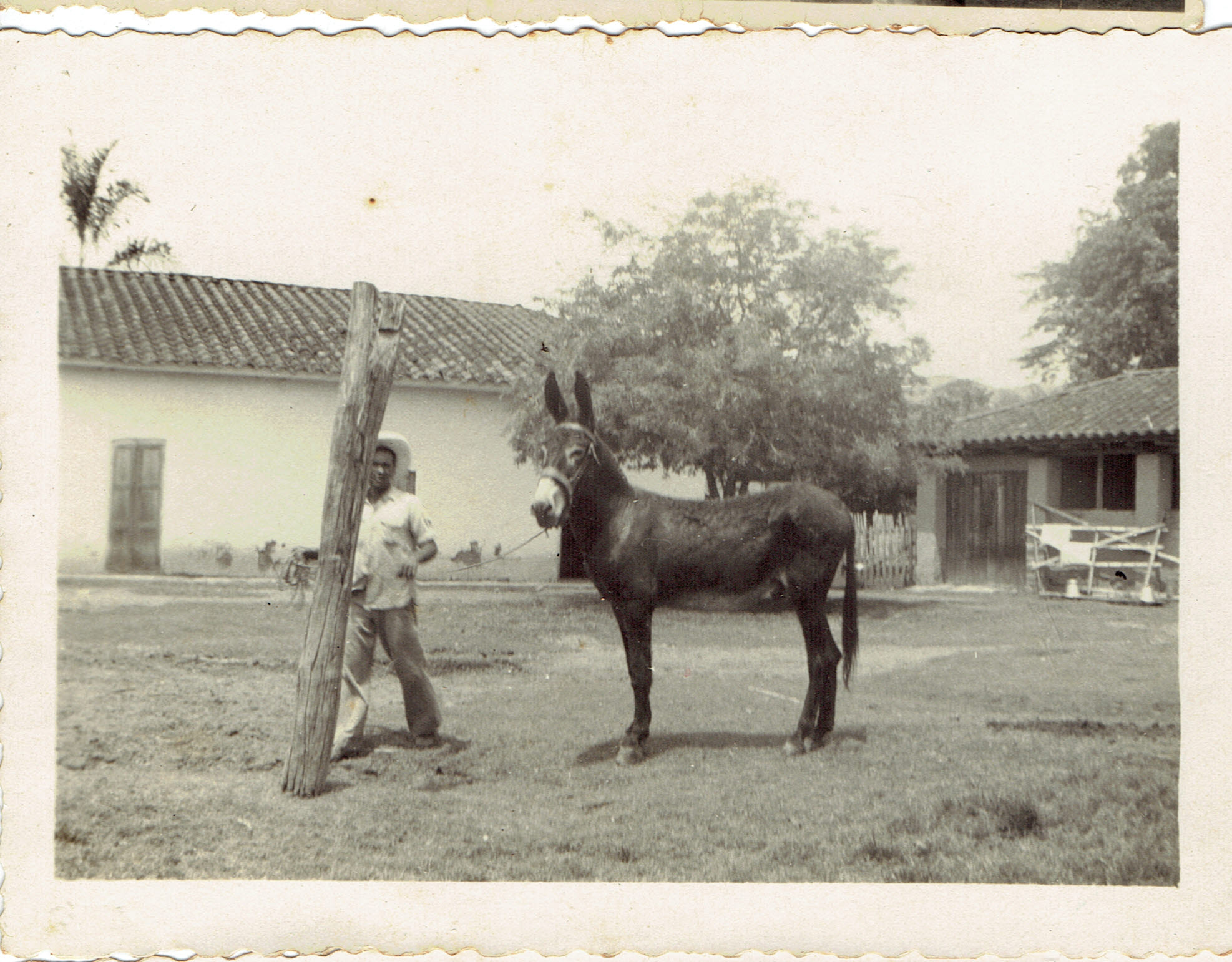 VALLE000430.jpg