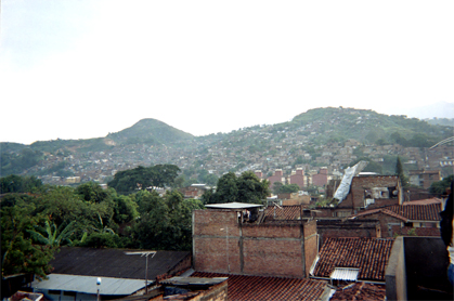 379-13.jpg