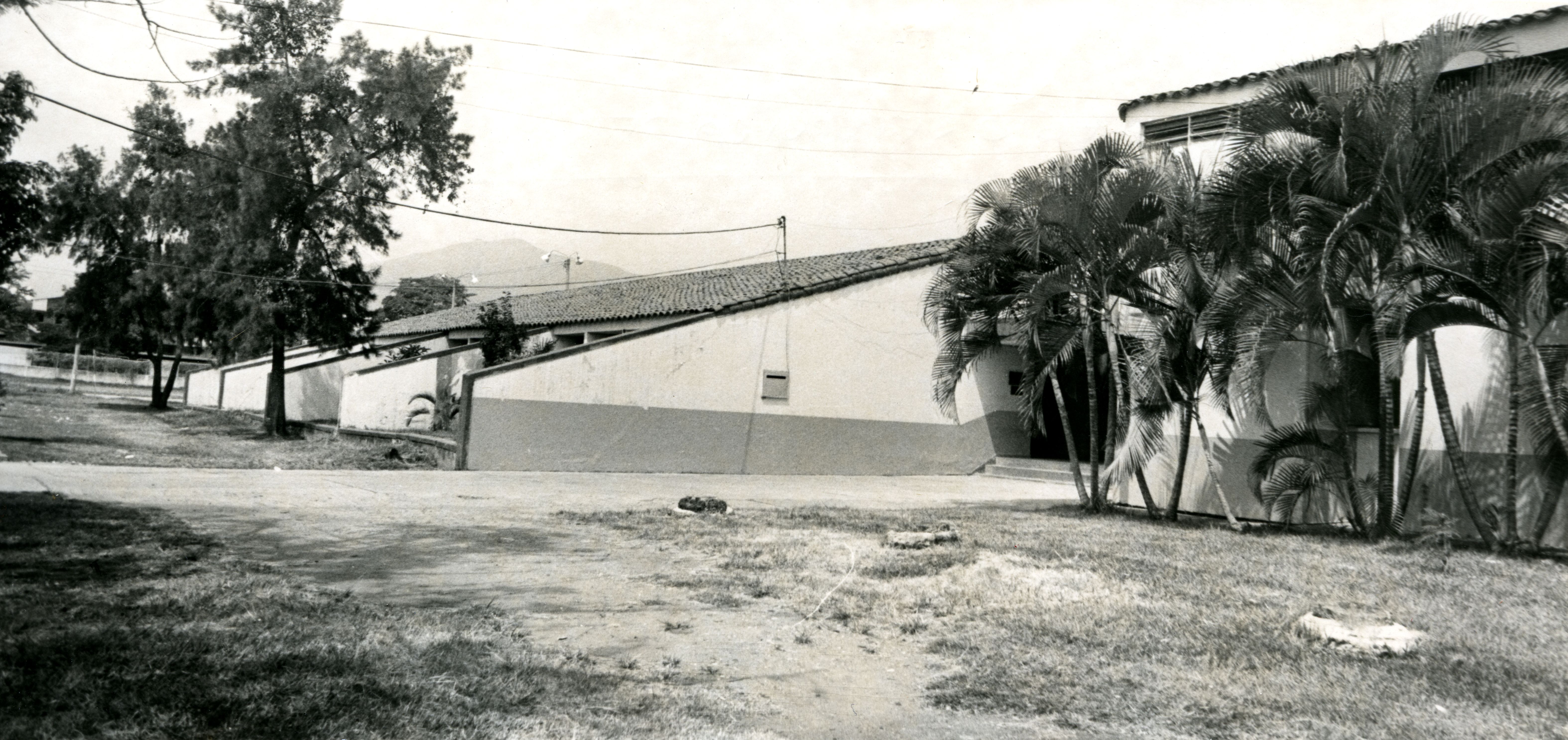 FDO023890.jpg