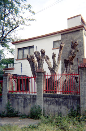 415-5.jpg