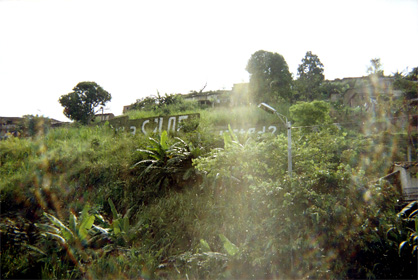 452-30.jpg