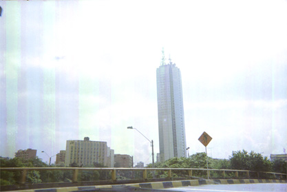 447-19.jpg
