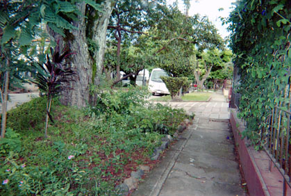 409-22.jpg
